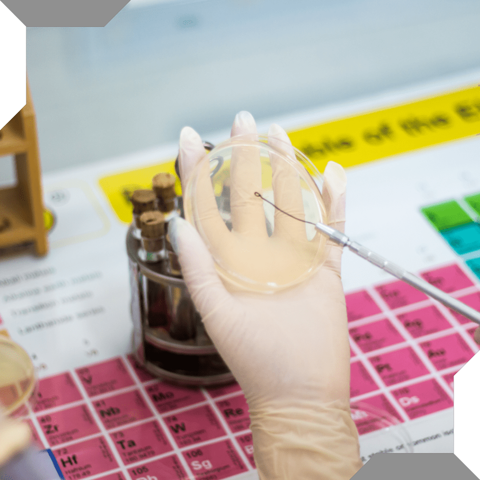 Florida Substance Abuse Screening